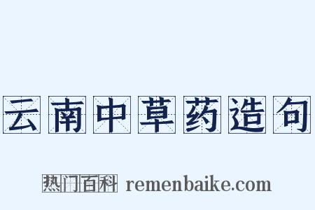 云南中草药造句是什么意思的图片